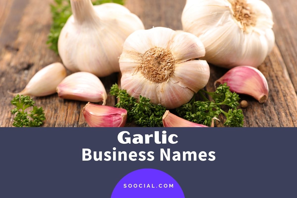 Creative Garlic Business Name Ideas to Spice Up Your Brand