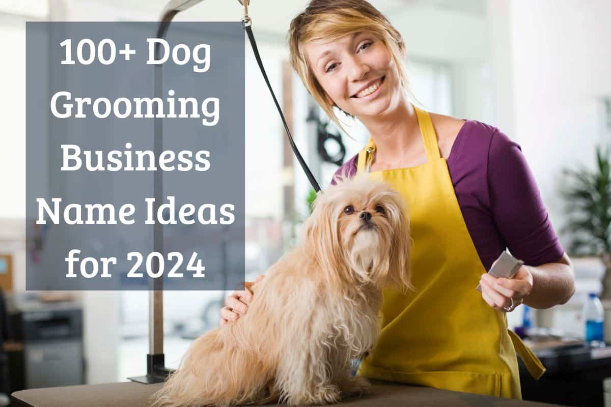 Creative Pet Business Name Ideas to Make Your Venture Stand Out